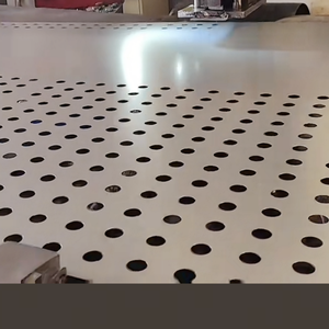 Pannelli galvanizzati ad alta resistenza con i fori misti per la rete di ingegneria-punzonatura - Product Image 4