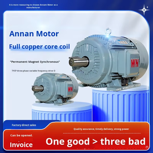 Wannan Elektrische Tycp-Serie Driefasige Variabele Frequentie Aandrijving Permanente Magneet Synchrone Motor | 750 Tpm | Directe Aandrijving - Product Image 4