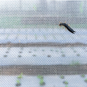 Malla Agrícola Anti-Insectos de HDPE 100% Virgen para Invernadero a Precio Económico - Product Image 3