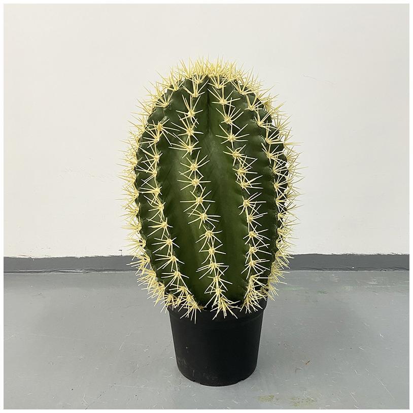 Wealthy jade yellow thorn 62cm