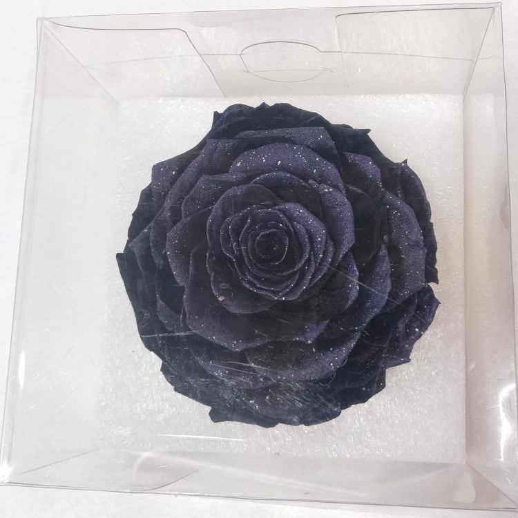 Starry sky black