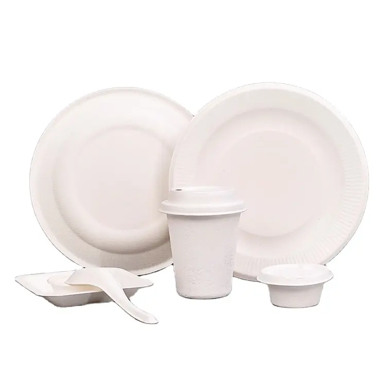 Polpa biodegradável descartável descartável bandeja placa quadrados descartáveis placas conjunto de pratos para piquenique