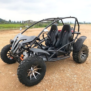 Lna להתמודד עם שטח קשה 12 "גלגלי סגסוגת 200cc kart