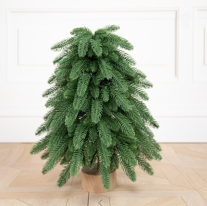 Sapin noble PE vert armée