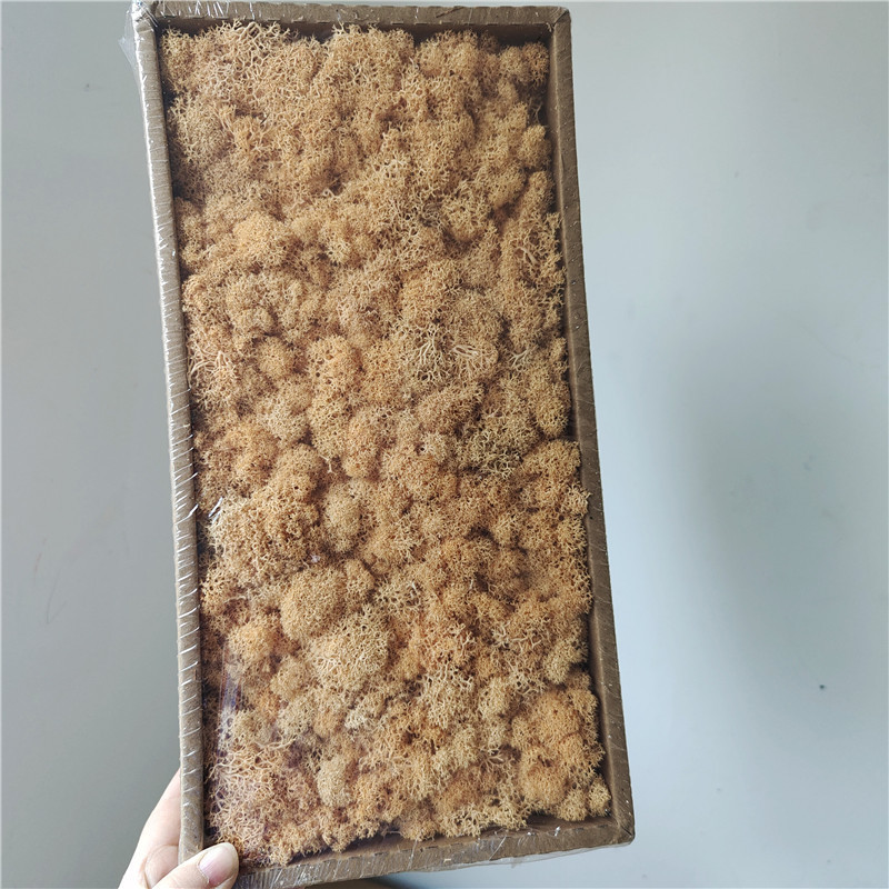 Yh05 champagne-100g