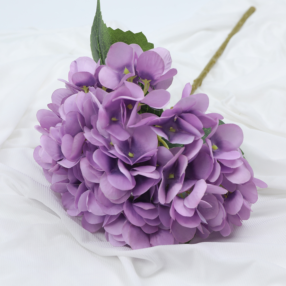 Pourpre