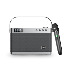 ZW-T9 40w卡拉ok便携式蓝牙扬声器支持语音转换仪器输入DSP tf卡u盘BT5.0扬声器