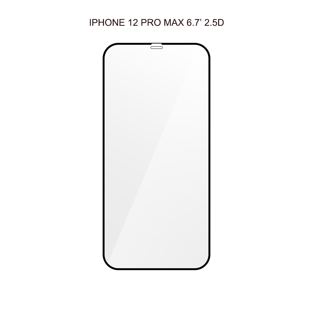 Pour iPhone 12 Pro max