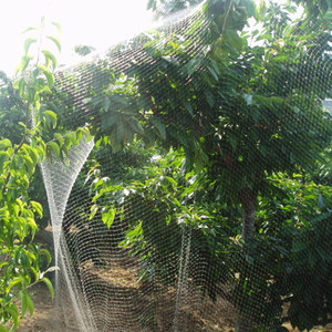 High Quality <strong>Plastic</strong> <strong>Nets</strong> for Pest Control Mesh Screen to Protect Plants - Product Image 4