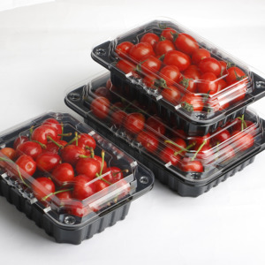 Tek kullanımlık şekil plastik saklama kutusu götürmek salata ambalaj PET kutusu çıkar - Product Image 2