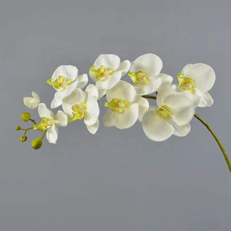 Boneco de artesanato cor natural de orquídea, cor múltipla, toque real