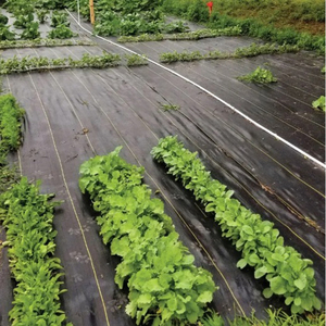 Ớt Ớt Rau diếp dệt che phủ mặt đất vải địa kỹ thuật chống cỏ rào cản kiểm soát cỏ dại mat - Product Image 2