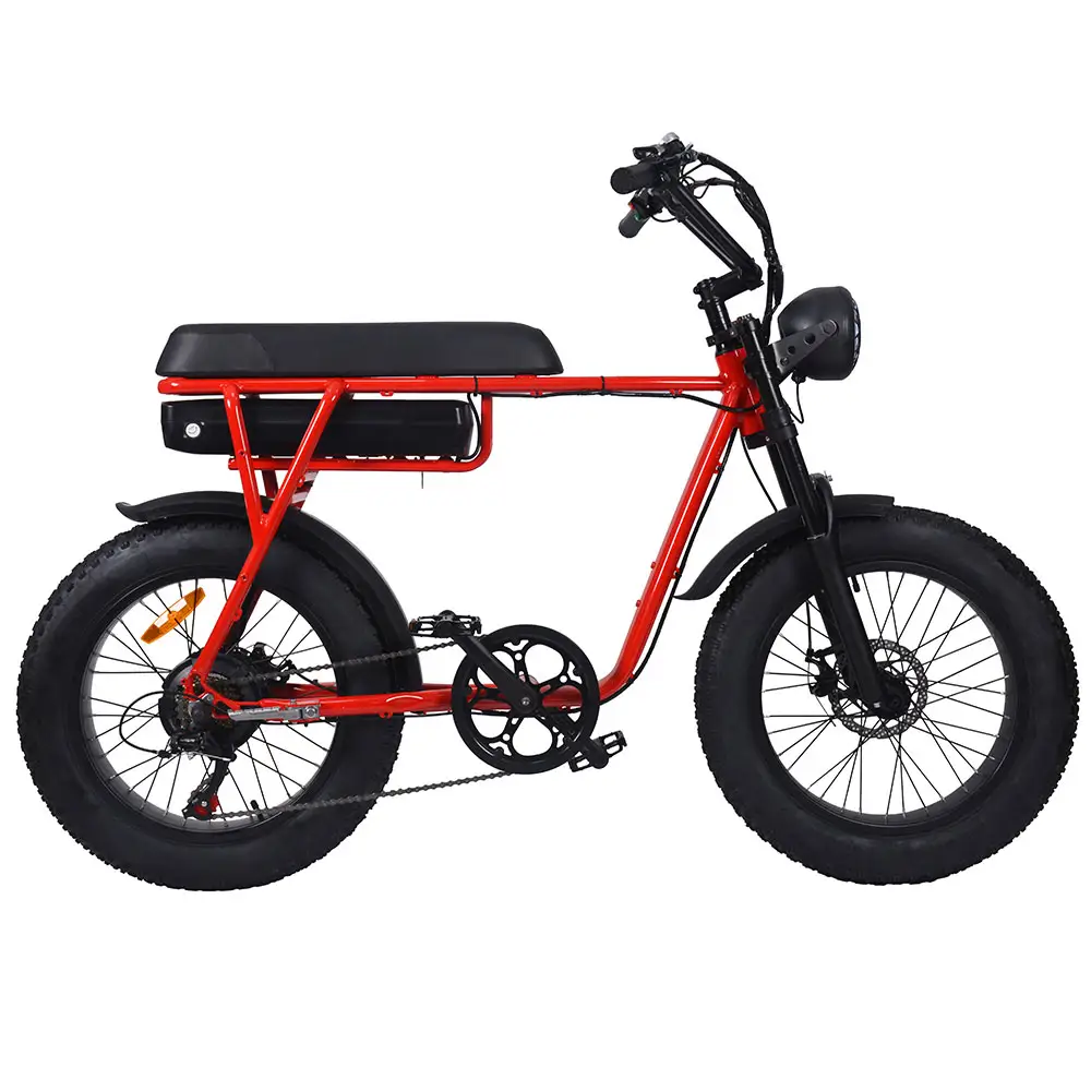 Vet Ebike 20Inch Vlo Lectrique Soepel Elektrische Fietsen Voor Volwassenen Twee Wielen 1000W 2 Persoon Fat Tire Elektrische fiets