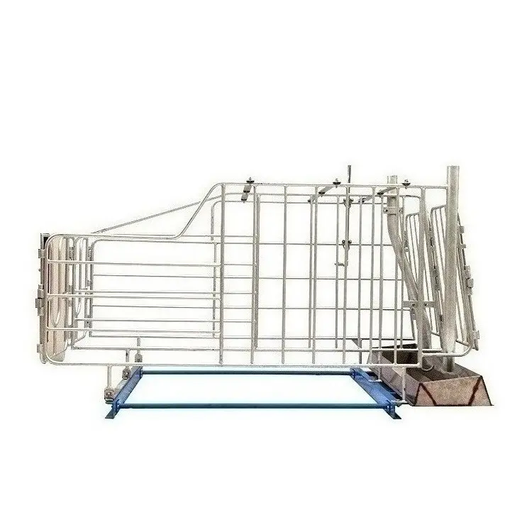 Commonly used sow gestation box feeding equipment