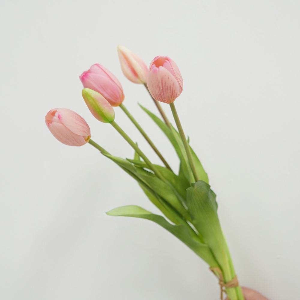 rosa2