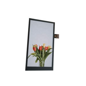 Pequeño MÓDULO DE PANTALLA LCD táctil IPS de 5,5 pulgadas con interfaz Mipi Panel de pantalla de cristal líquido TFT de 5,5 pulgadas - Product Image 2
