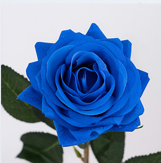 Blu