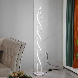 Minimalist Modern oturma odası zemin lambası sanat LED hiçbir ana ışık yaratıcı çizgiler Minimalist Spiral dikey ışık lüks zemin lambası - Product Image 3