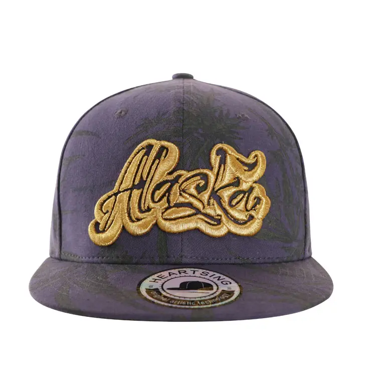 Gorras benzersiz baskı Alaska devlet bayrağı pamuk snapback kap deri strapback