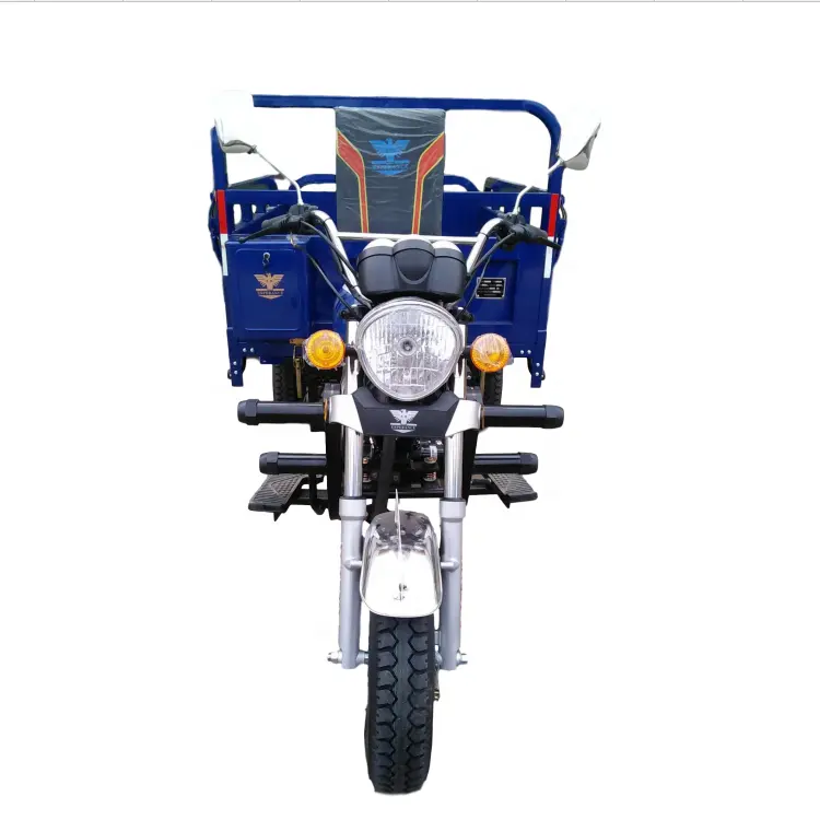 3-Х Колесный Электрический мотоцикл взрослые трицикл, закрытая кабина грузовой трицикл в Пакистане