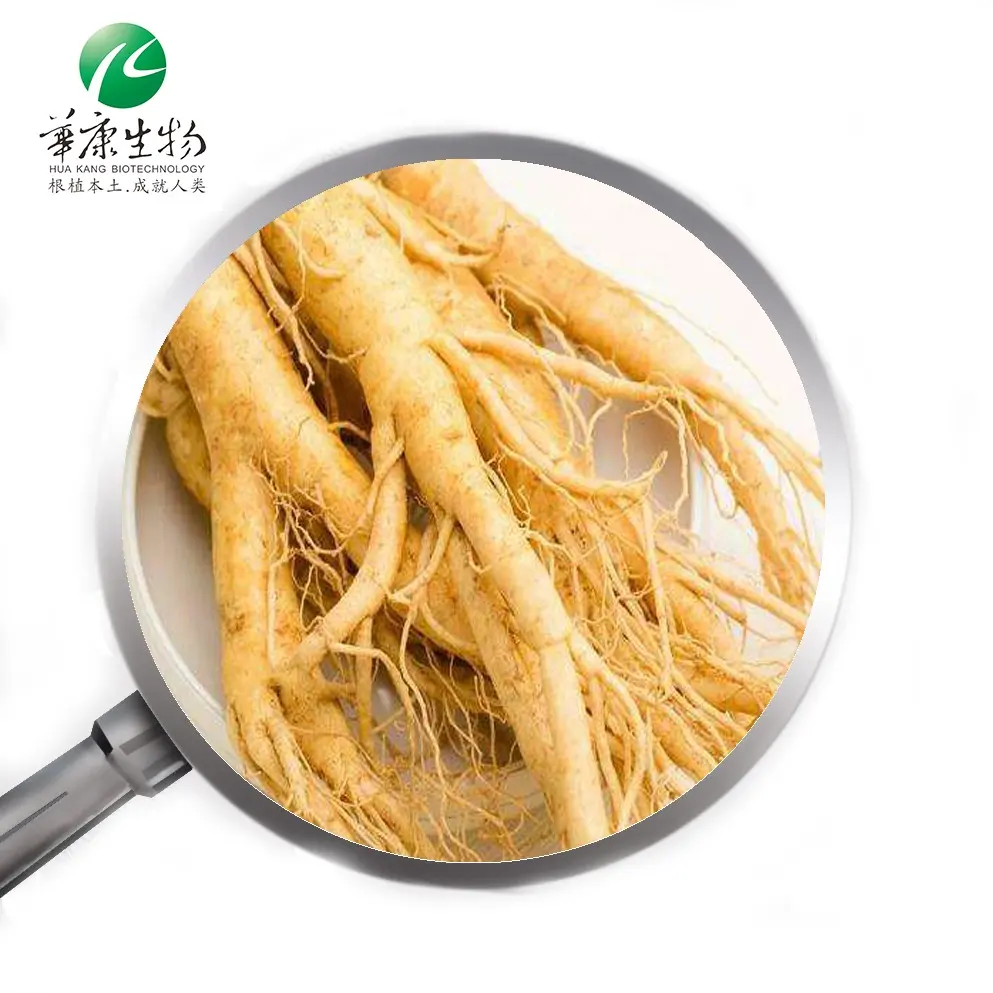 Toptan panax ginseng ekstresi, kırmızı panax ginseng ekstresi, nereden ginseng