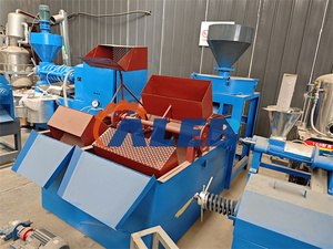 Máquina separadora de núcleos de cáscara de palma para procesamiento de galletas de nueces de palma - Product Image 3