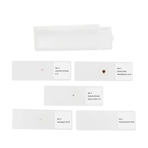 <strong>Microscope</strong> <strong>Slides</strong> Animal and Plant University <strong>Use</strong> Office &amp; School Supplies