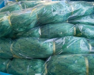 Màu xanh lá cây và màu xanh Nylon Monofilament multifilament lưới đánh cá, Ôn Châu lưới nhà máy Nylon Đỏ de pesca - Product Image 5