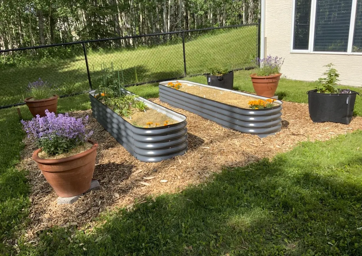 Metal Raised Garden Bed Outdoor Planter Box Galvanized Steel Garden Bed