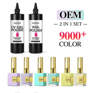 OEM专业指甲供应商批发凝胶指甲油批量9000 + 颜色2合1常规指甲油<span class=keywords><strong>UV</strong></span>凝胶上光剂套装