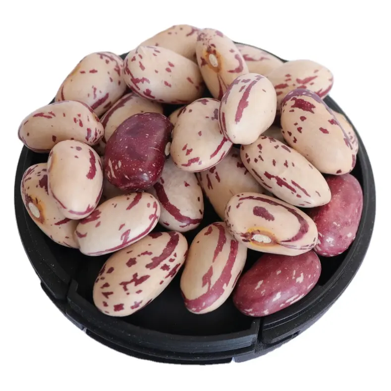 China Origin Factory Customize Organic Dry Light Speckled Kidney Beans White Beans