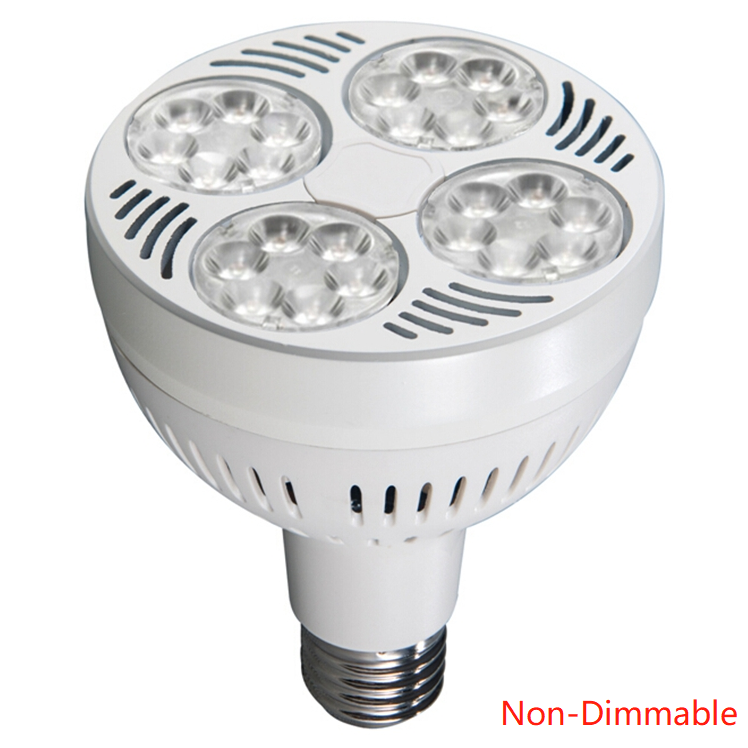 Blanc (Non-Dimmable)
