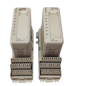 MÓDULO DE ENTRADA DIGITAL DI810 CON UNIDAD DE TERMINACIÓN - Product Image 5