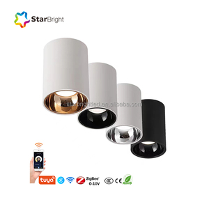 Yeni moda yuvarlak yüzeye monte tavan ışık <span class=keywords><strong>led</strong></span> downlight ticari aydınlatma otel yüzeye monte spot ışık