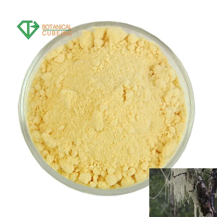 CAS 125-46-2 Usnic Acidusninic Acidusnein Usneaextrakt Pulver Lichen Extract 98% Usninsäure