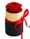 1 Rose XS Boîte Noire Avec Bord Doré