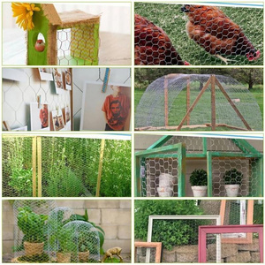 Sechseckiges Netz Geflügelfarm netz Gewebter Hühner drahtzaun Tierbarriere-Rollen netz mit Schneid verarbeitung service - Product Image 3
