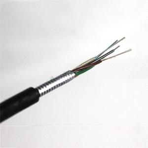 ADSS-Compliant Industrial Fiber Optic Cable with IP67 Protection &amp; GR-20-CORE Compliance (Cost-Effective for Telecom <strong>Networks</strong>)