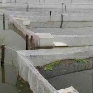80 Mesh 14 square Meters Breeding <strong>Net</strong> Fish Pond Crayfish Insect-proof Fence <strong>Net</strong> Filter Impurity <strong>Net</strong> - Product Image 3