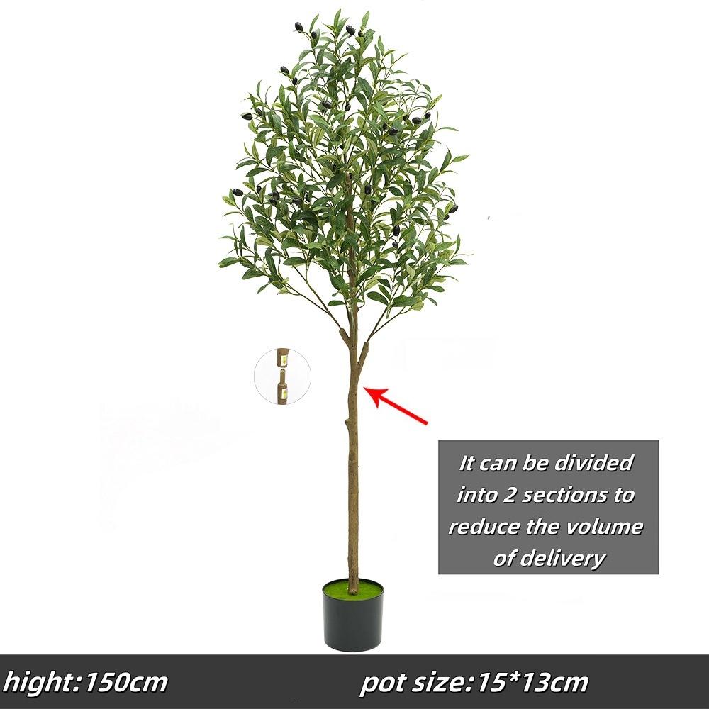 150cm olive tree, c- packaging 46cm