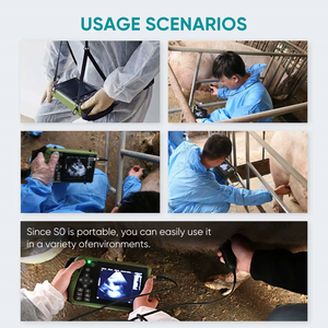 2.5Mhz 3.0Mhz 3.5Mhz 5.0Mhz探头频率绵羊猪猫狗怀孕诊断兽医超声诊断系统