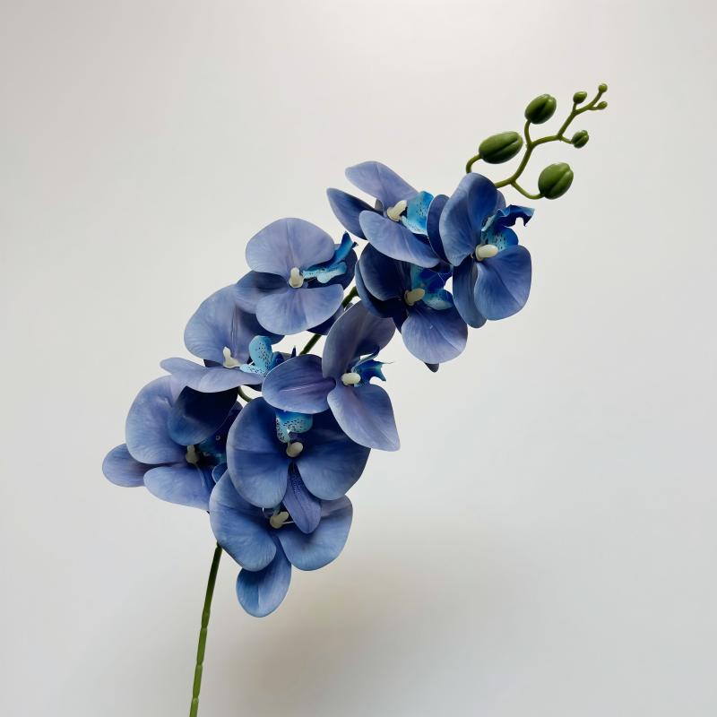 14-Klein Blue