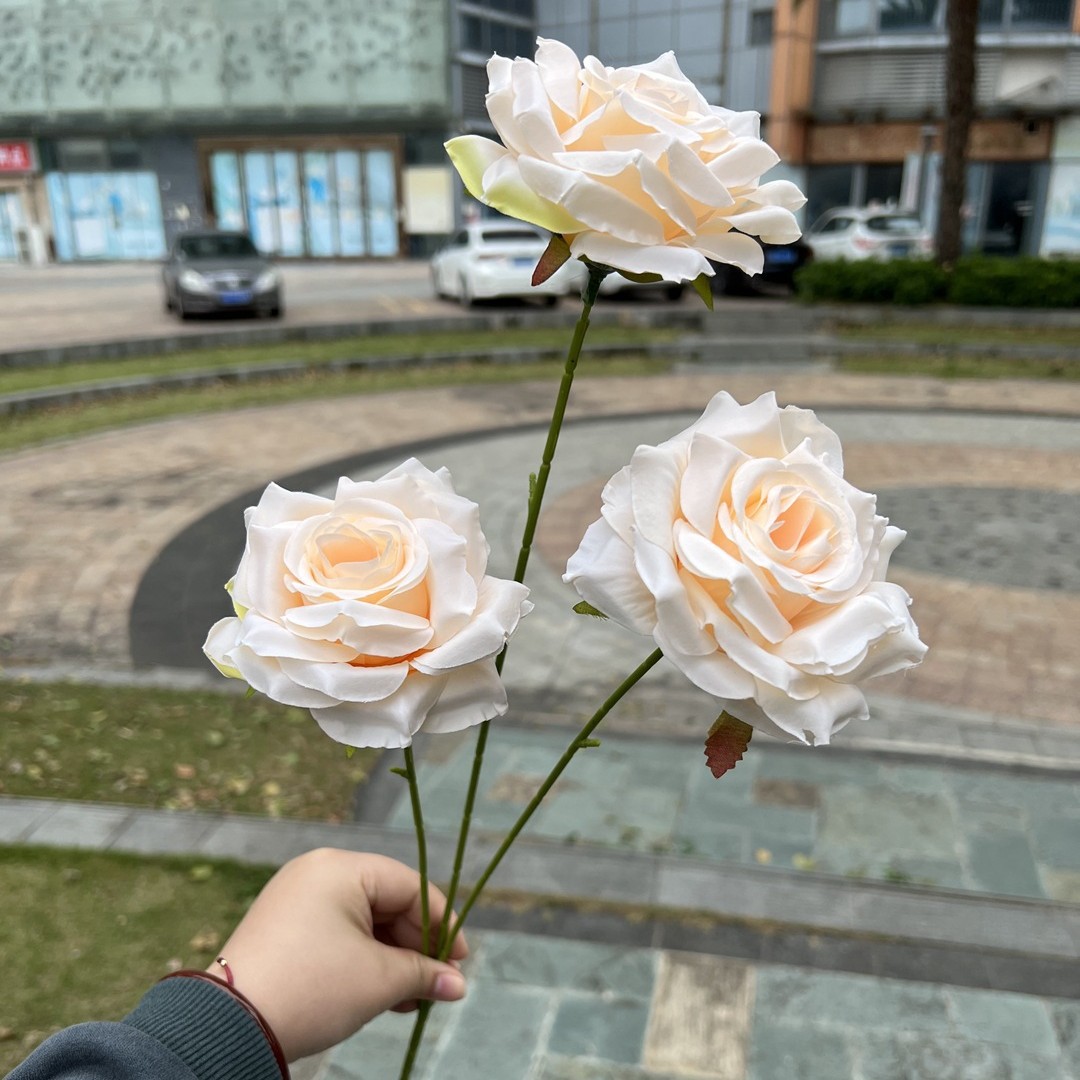 033 champagne rosé du coin de laffey