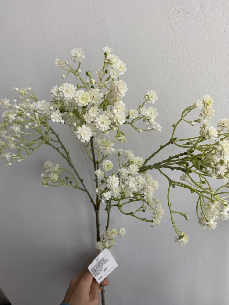 Blanc