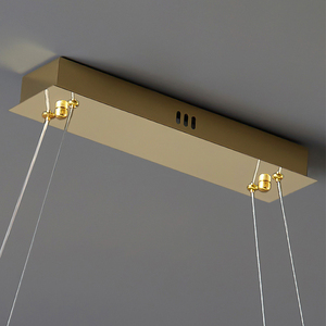 Single S Controllable Restaurant bar Counter Pendant <strong>Light</strong> and LED Dual Color <strong>Light</strong> - Product Image 5