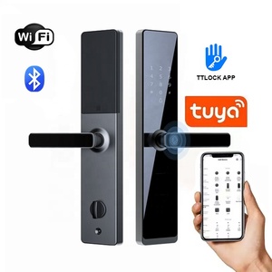 Akıllı TT kilit Bluetooth Tuya uzaktan kilidini anahtarsız giriş dijital şifre Rfid IC kart biyometrik parmak izi kapı kilit - Product Image 1