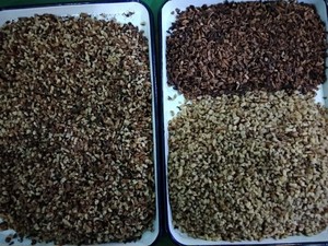 Hohe sortierung genauigkeit Nussbaum kernel und shell kastanien cashew mutter gürtel farbe sortierung maschine Mit WIFI fernbedienung service - Product Image 5