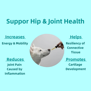 Suplemen cair kesehatan sendi & pinggul hewan peliharaan dengan Glucosamine & Chondroitin untuk kucing & Dogs-aman & efektif - Product Image 4