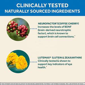 Kapseln zur Ergänzung der Gehirn augen verbessern das Gedächtnis und die Konzentration und enthalten Lutein, Vitamin ACE und Zink zur Förderung der Augen gesundheit - Product Image 3
