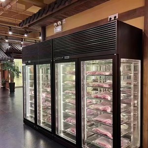 牛肉牛排香肠肉干老化老化冰箱展示柜63L -5 ~ 10 ℃ 湿度50-85%